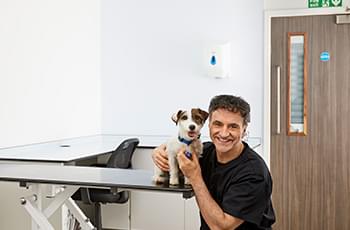 Supervet on the importance of pet insurance. Click to read more