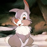 Thumper