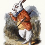 White Rabbit